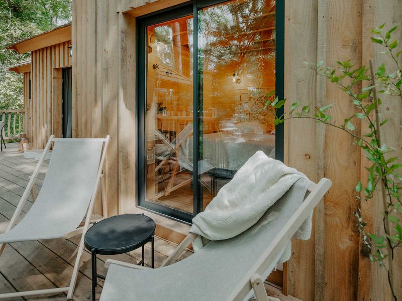 Cabin la forêt