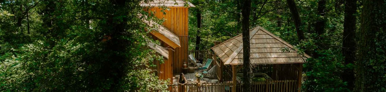 Cabane la forêt