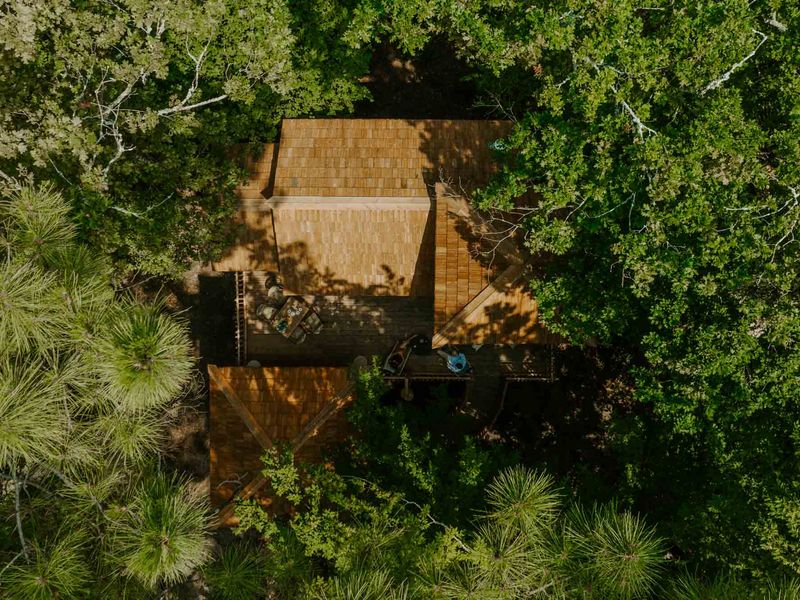 Cabin la forêt