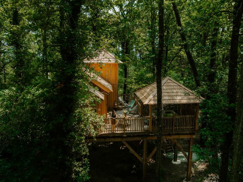 Cabin la forêt