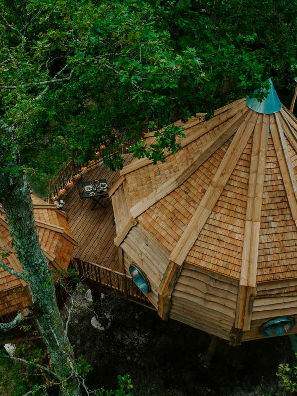 Cabane la vigne