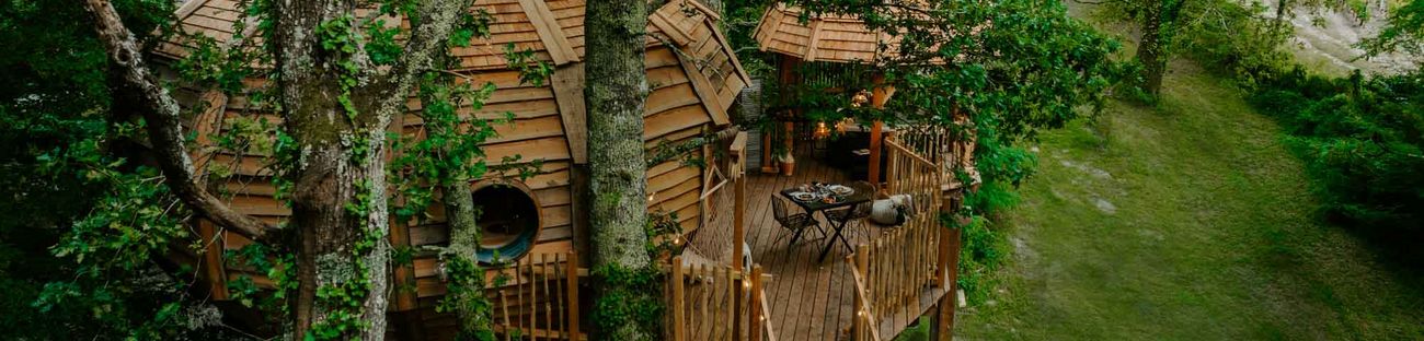 Cabane la vigne