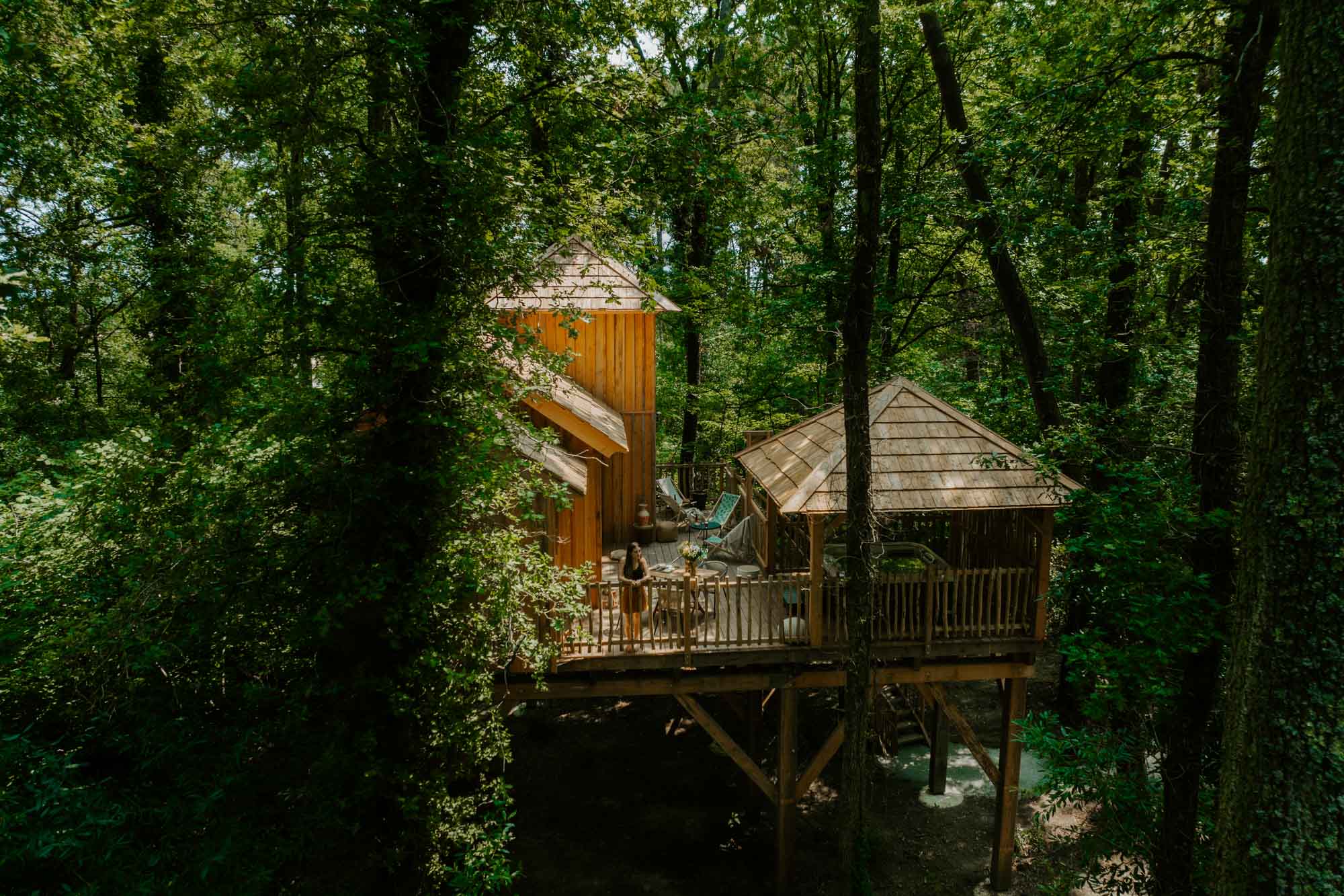 Cabane la forêt